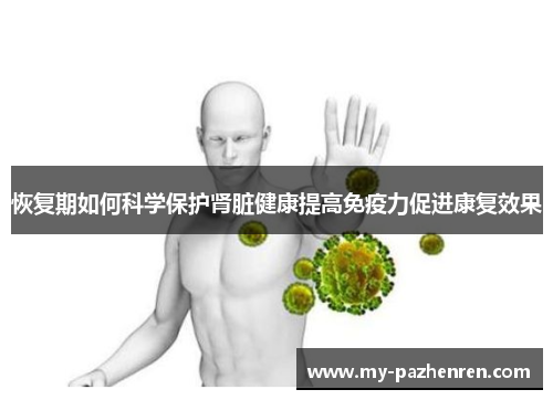 恢复期如何科学保护肾脏健康提高免疫力促进康复效果 恢复期如何科学保护肾脏健康提高免疫力促进康复效果