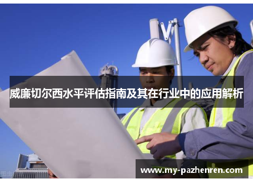 威廉切尔西水平评估指南及其在行业中的应用解析 威廉切尔西水平评估指南及其在行业中的应用解析