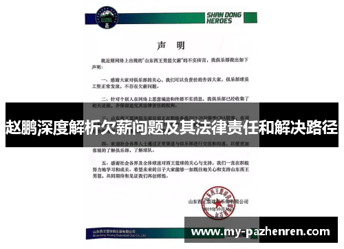 赵鹏深度解析欠薪问题及其法律责任和解决路径 赵鹏深度解析欠薪问题及其法律责任和解决路径